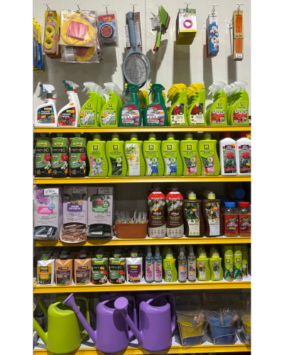 Diseño sin título (6)